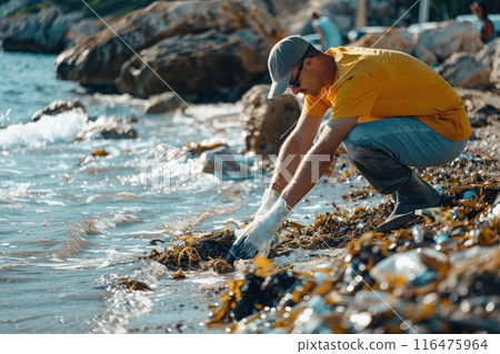 Man cleaning the beach, collecting seaweed, wearing gloves and hat 116475964