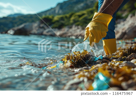 A female volunteer is collecting plastic garbage on the seashore. Cleaning of the coastal zone. 116475967