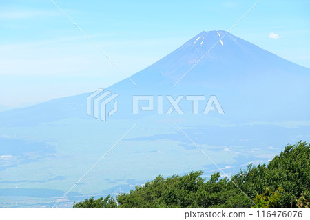 Mt. Fuji in summer as seen from Mikuni Pass on the Ashinoko Skyline 116476076