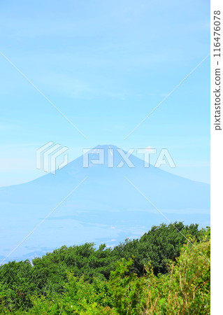 從蘆之湖天際線上的三國峠眺望夏季的富士山 116476078