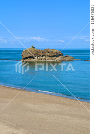 Hakuto Beach/Hakuto Cancer (Tottori Prefecture/Tottori City) 116476823