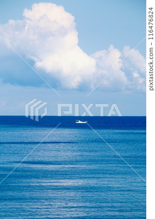 Hakuto Beach/Hakuto Cancer (Tottori Prefecture/Tottori City) Hakuto Beach/Hakuto Cancer (Tottori Prefecture/Tottori City) 116476824