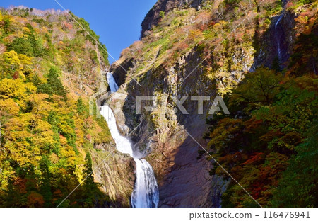 Autumn at Tateyama Shomyo Falls Autumn at Tateyama Shomyo Falls 116476941