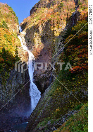 Autumn at Tateyama Shomyo Falls Autumn at Tateyama Shomyo Falls 116476942