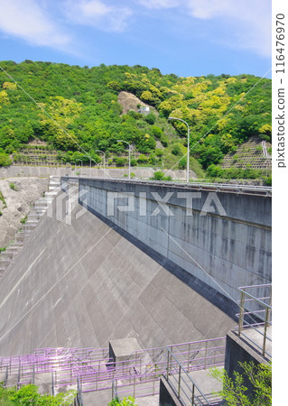 兵庫縣淡路島牛內水庫 116476970