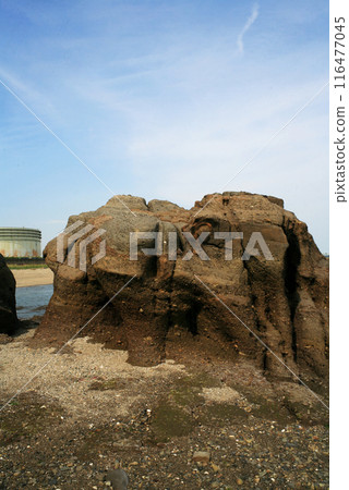 本山美咲的Kuguriiwa 本山美咲的Kuguriiwa 116477045