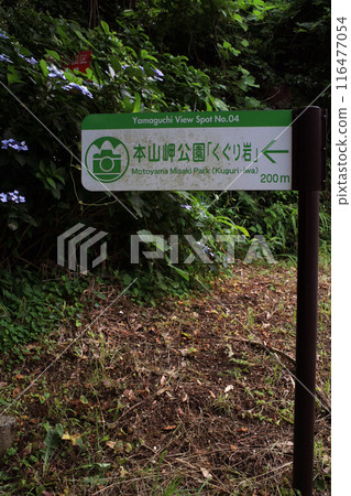 Cape Motoyama Tourist Information 116477054