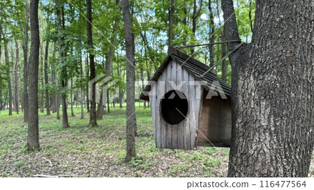 Hanging house for wild birds in park against background of trees in sunny weather, homemade bird feeder made of wood, people caring about birds 116477564