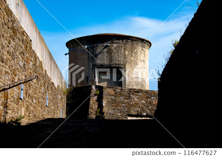 義大利花都佛羅倫斯旅遊風景,有美麗的大教堂 義大利花都佛羅倫斯旅遊風景,有美麗的大教堂 116477627