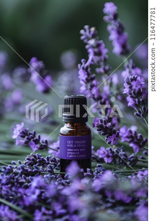 Lavender essential oil bottle surrounded by lavender flowers. 116477781