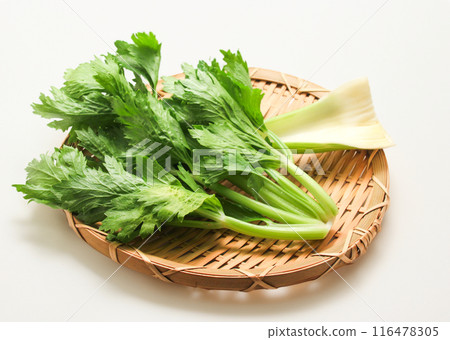 新鮮芹菜 116478305