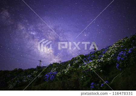 [Tokushima Prefecture] The Milky Way and hydrangeas from Okawahara Plateau 116478331