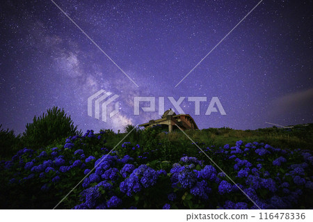 [德島縣]大河原高原的銀河、繡球花和山頂房屋 116478336