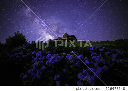 《Tokushima Prefecture》The Milky Way, hydrangeas and Hilltop House from Okawahara Plateau 116478348