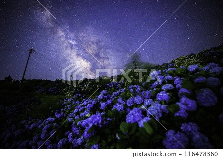 [德島縣]大河原高原的銀河和繡球花 116478360