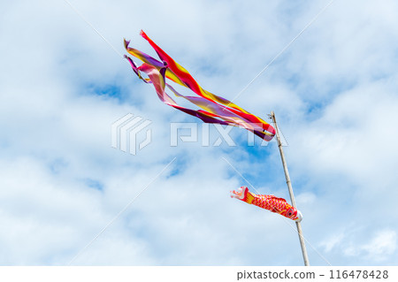 從斜下方看，用退役的鯉魚旗製成的風向袋，在強風中會劇烈地水平飄動。 116478428