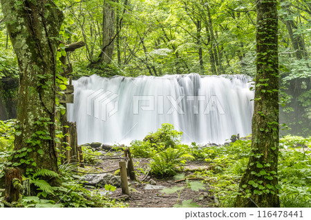 夏季奧入瀨溪十勝大t十和田市青森縣 116478441