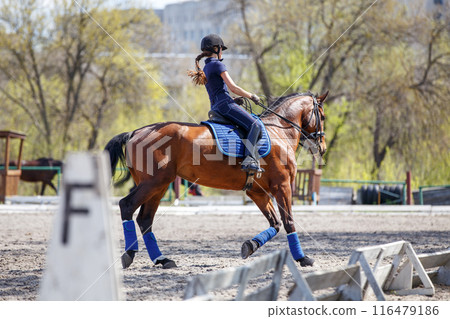 Young rider girl riding horse during dressage training 116479186