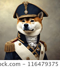 Shiba Inu puppy with no abnormalities 116479375