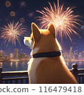 Shiba Inu puppy watching fireworks 116479418