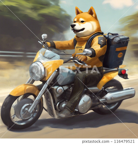 Shiba Inu puppy driving a motorcycle 116479521