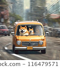 Shiba Inu driving a car 116479571