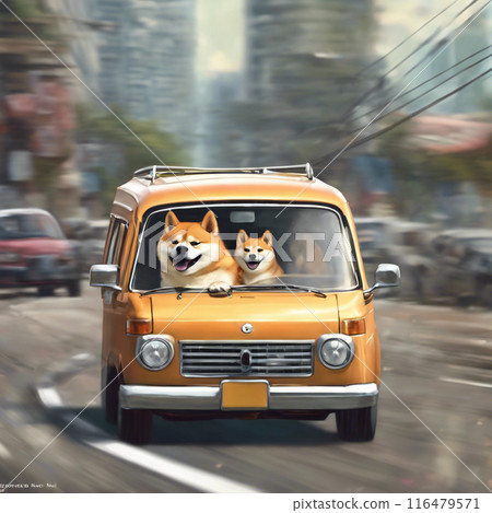 駕駛汽車的柴犬 116479571