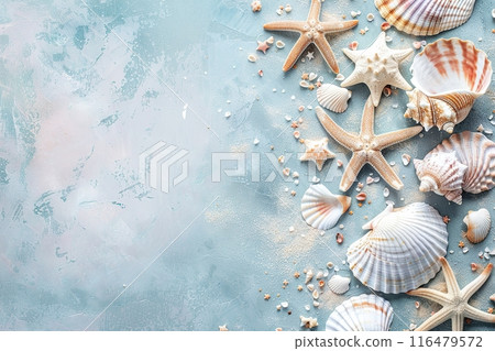 Beautiful seashells and starfish on a blue background with a top view of copy space. Summer vacation concept. Copyspace Beautiful seashells and starfish on a blue background with a top view of copy space. Summer vacation concept. Copyspace 116479572