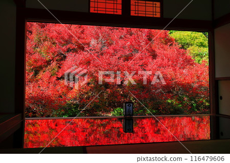 [兵庫縣] 但馬安國寺的紅葉 116479606