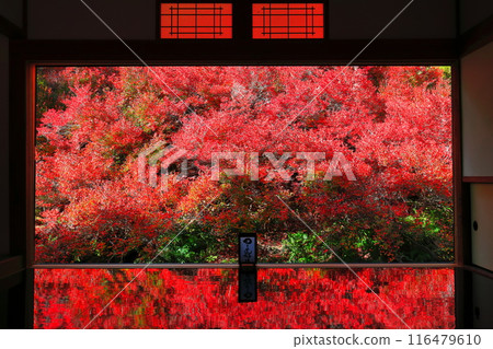 [兵庫縣] 但馬安國寺的紅葉 116479610