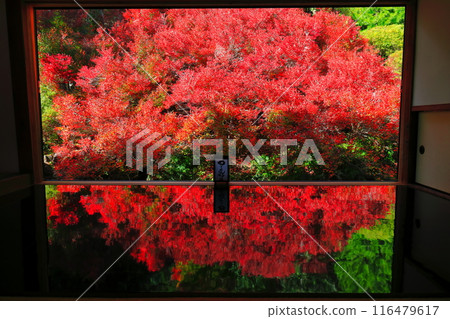 [兵庫縣] 但馬安國寺的紅葉 116479617
