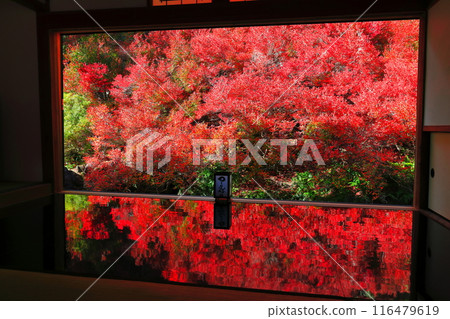 [兵庫縣] 但馬安國寺的紅葉 116479619
