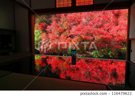 [兵庫縣] 但馬安國寺的紅葉 116479622