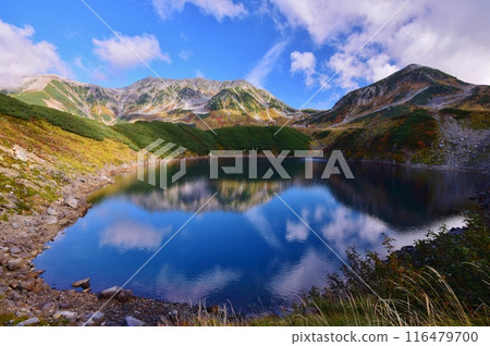 Tateyama Alpine autumn scenery Tateyama Alpine autumn scenery 116479700