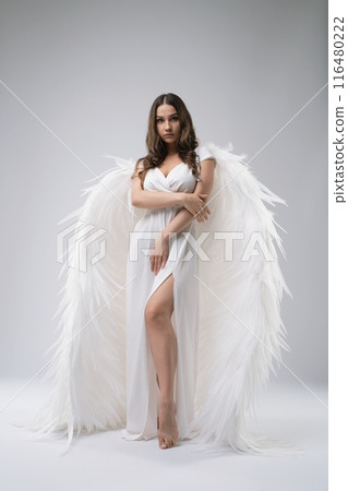 Woman Wearing White Dress and Feather Wings 116480222