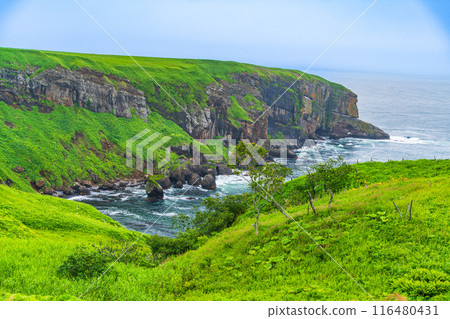 [北海道] 北海道東部的浪田岬 116480431
