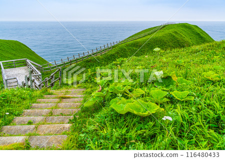 [北海道] 北海道東部的浪田岬 116480433