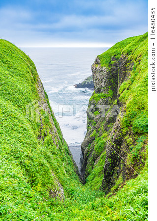 [Hokkaido] Cape Namida in Eastern Hokkaido 116480435