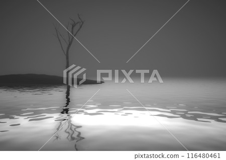 Dry single tree Dry single tree 116480461