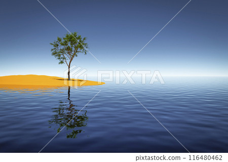 Tree on the island Tree on the island 116480462