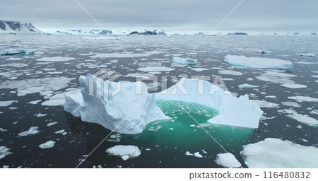 Antarctica wild nature aerial landscape panorama. Massive iceberg drifting polar ocean. Melting glacier floating icy water. Seagull flying in moody sky. Global warming, climate change. Arctic travel 116480832