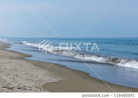 大竹海岸（茨城縣鉾田市） 116480891