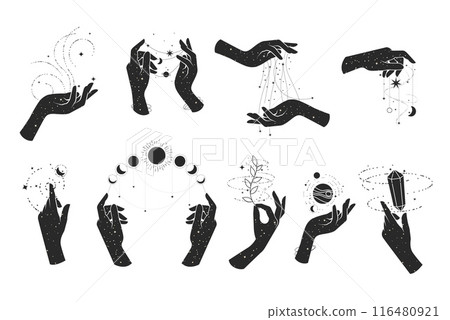 Wizardry and mysticism, fortune-telling, hands of witch practicing witchcraft, magic spells Wizardry and mysticism, fortune-telling, hands of witch practicing witchcraft, magic spells 116480921