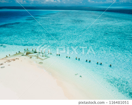 Tropical beach with blue ocean, drone view sunny day Tropical beach with blue ocean, drone view sunny day 116481051