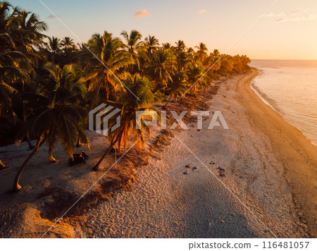 Drone view of Maldives tropical beach among palms trees with sunset or sunrise sunshine. 116481057
