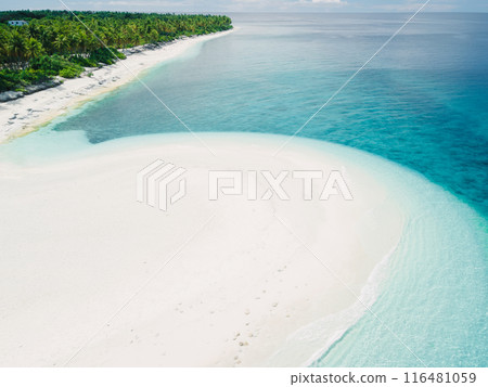 Maldive island with blue ocean, tropical sandy beach with palms trees Maldive island with blue ocean, tropical sandy beach with palms trees 116481059