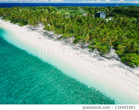 Maldives island ocean tropical beach with palms 116481061