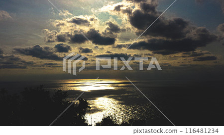 金色的大海和早晨的陽光的風景 116481234