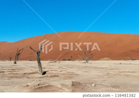 Barren landscape near Deadvlei and sossusvlei 116481382
