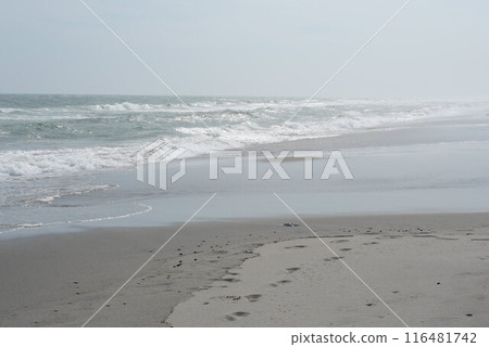 遠州海浪 海浪拍打著沙灘 116481742